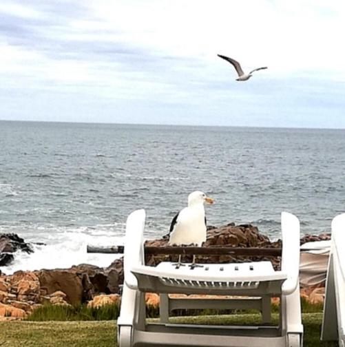 Beacon Island Resort Plettenberg Bay Exterior foto
